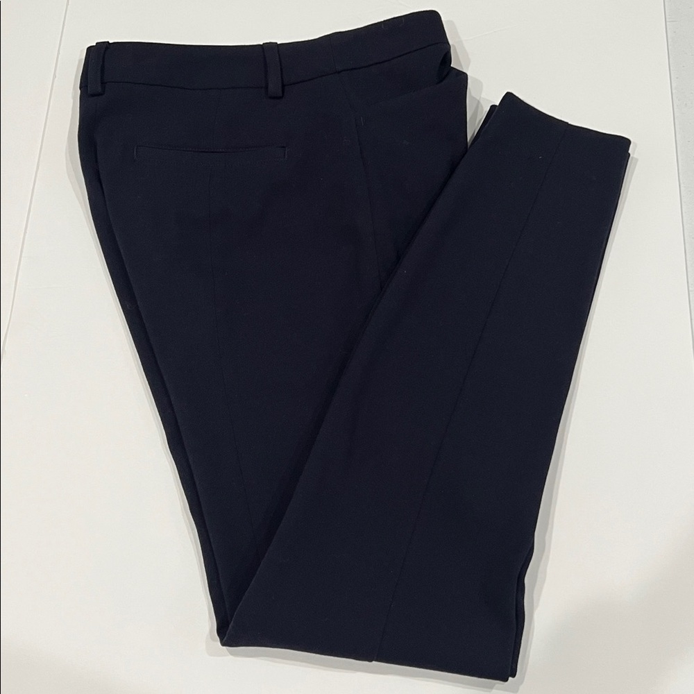 Express Dress Pants